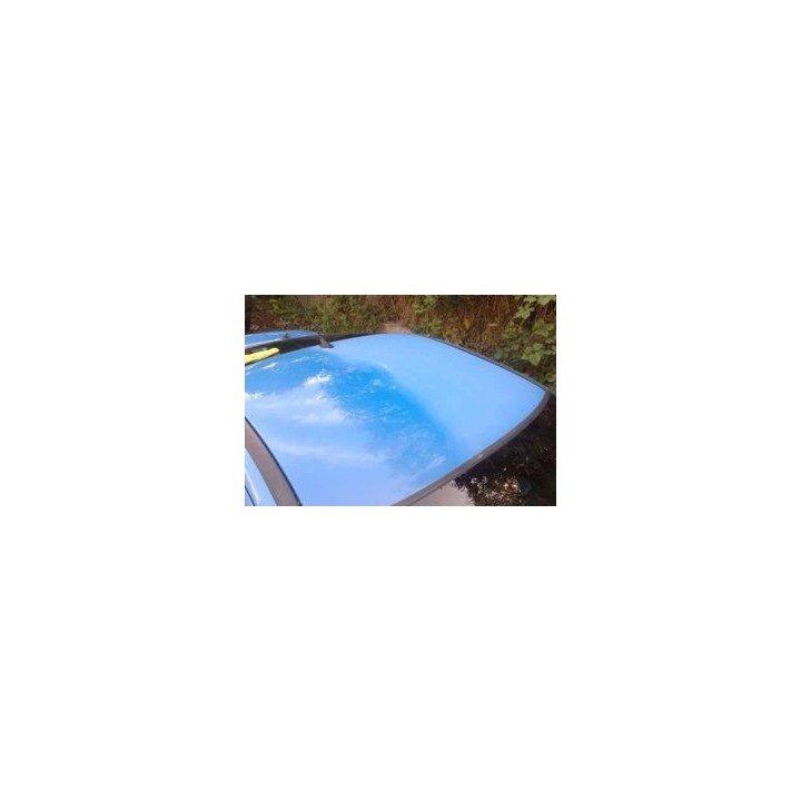 Paint Renovator 325 ml - Autoglym