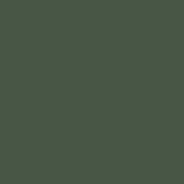 Legergroen RAL 6031 Mat 500 gram Poedercoat poeder