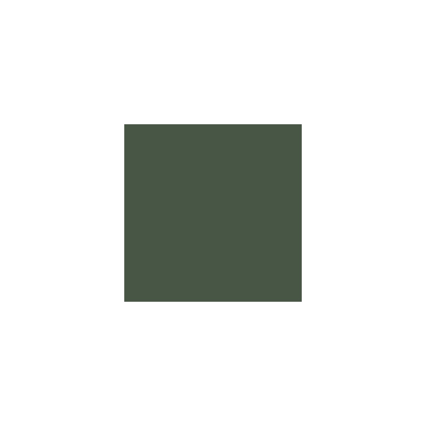 Legergroen RAL 6031 Mat 500 gram Poedercoat poeder